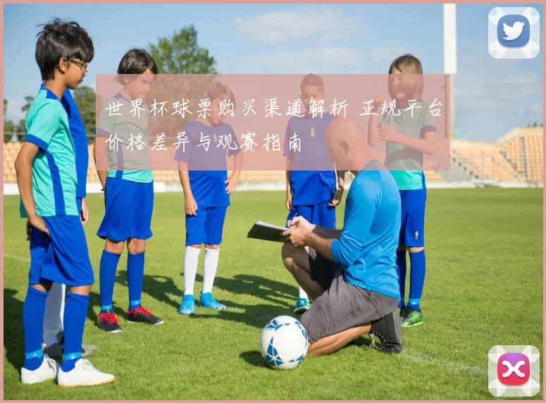 世界杯球票购买渠道解析 正规平台价格差异与观赛指南